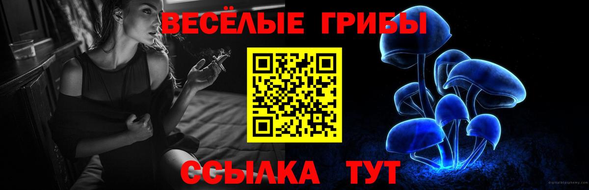 Псилоцибиновые грибы ЛСД  Вход с VPN  Ангарск 